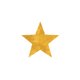 Gouden ster op wit