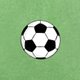 Sluitzegel voetbal met groen