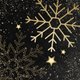 Gouden Sneeuwvlok en Sterren