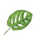 Sluitzegel botanisch blad
