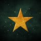 Kerst 2023 gouden ster groen