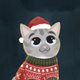 Kerst kat in kersttrui blauw