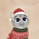 Kerst kat in kersttrui beige
