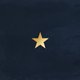 Kerst donkerblauw gouden hartje
