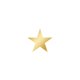 Kerst algemeen wit met gouden ster standaard