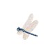 libelle