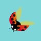 Ladybird