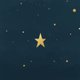 Kerst Merry Christmas in 't rond gouden ster