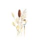 Rouw droogbloemen