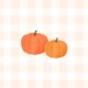 Geboorte ruitjes oranje pompoen