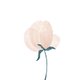 Waterverf bloem