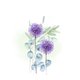 Rouw allium