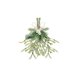 Kerst mistletoe touw