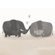Geboorte twee grote olifanten met baby