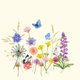 Uitnodiging vlinders veldbloemen