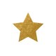 Kerst - ster goud 2