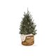 kerstboom