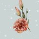 SZ_kerst_bloem