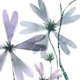 szveldbloemen