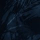 Bladeren silhouet donkerblauw