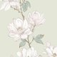 Trouw - Witte magnolia op groen