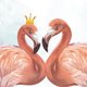 Trouwen - flamingo's