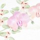 Trouwen - orchidee