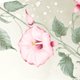Trouwen - roze klokwinde