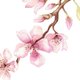 Trouwen - Roze bloesem