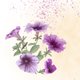 Uitnodiging - paarse petunia's