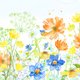 Uitnodiging - veldbloemen vlinder