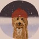 Kerst labradoodle met muts