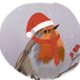 Kerst roodborstje