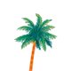Sluitzegel palmboom