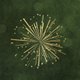 Vuurwerk goud op groen