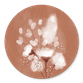 Droogbloemen Terracotta