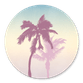 Palmbomen Tuinfeest