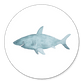 Sluitzegel haai