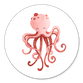 Sluitzegel octopus