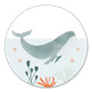 Geboorte walvis oceaan