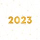 Gouden 2023 verbinding wit