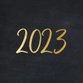 2023 - goud op zwart