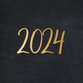 2024 - goud op zwart