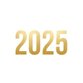 2025 - gouden letters