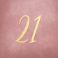 21 diner - roze