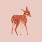 Birth_Deer