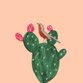 Baby_cactus