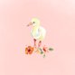 Geboorte flamingokuiken