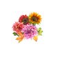 Jubileumherfstbloemen