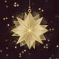 Kerst - kerstster sparkling goud